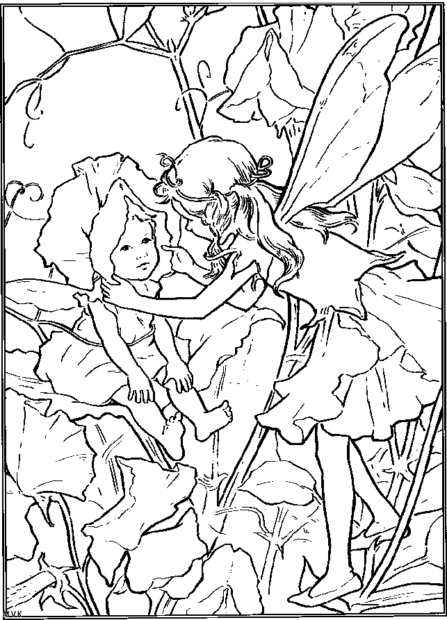 elves005